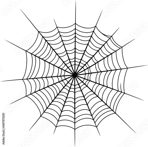 Intricate spiderweb art graphic design natural insect web decoration vector
