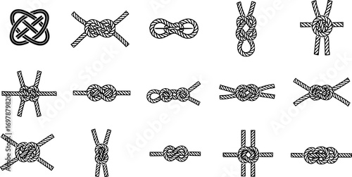 Collection of various knot types displayed on a simple background for reference and educational purposes