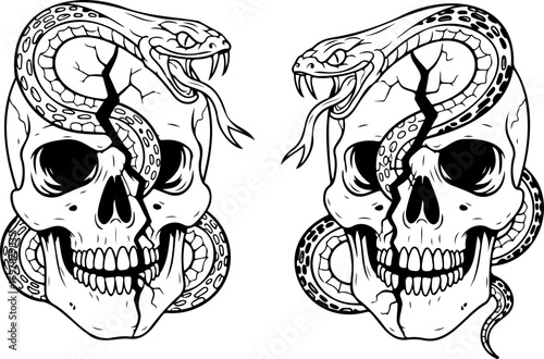 Striking skull and snake tattoo design, a bold emblem of mortality and rebirth, perfect for edgy apparel or tattoo art projects, originally vector