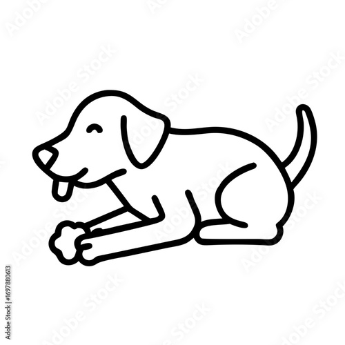 Caring for dogs dog chew toy icon transparent background