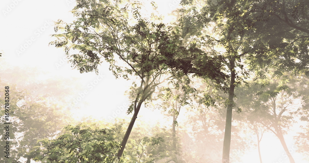 Fototapeta premium Bright sunlight breaks through the canopy of lush green trees, creating a warm and tranquil atmosphere in a peaceful forest during early morning hours.