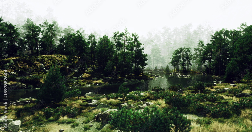 Fototapeta premium Dense trees envelop a calm river in a misty forest. Soft light filters through the foliage, creating a serene atmosphere in this natural setting. Vegetation and rocks line the waters edge.