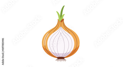 Translucent onion dissection revealing layers and sprouting greens on a stark white canvas conveying kitchen freshness
