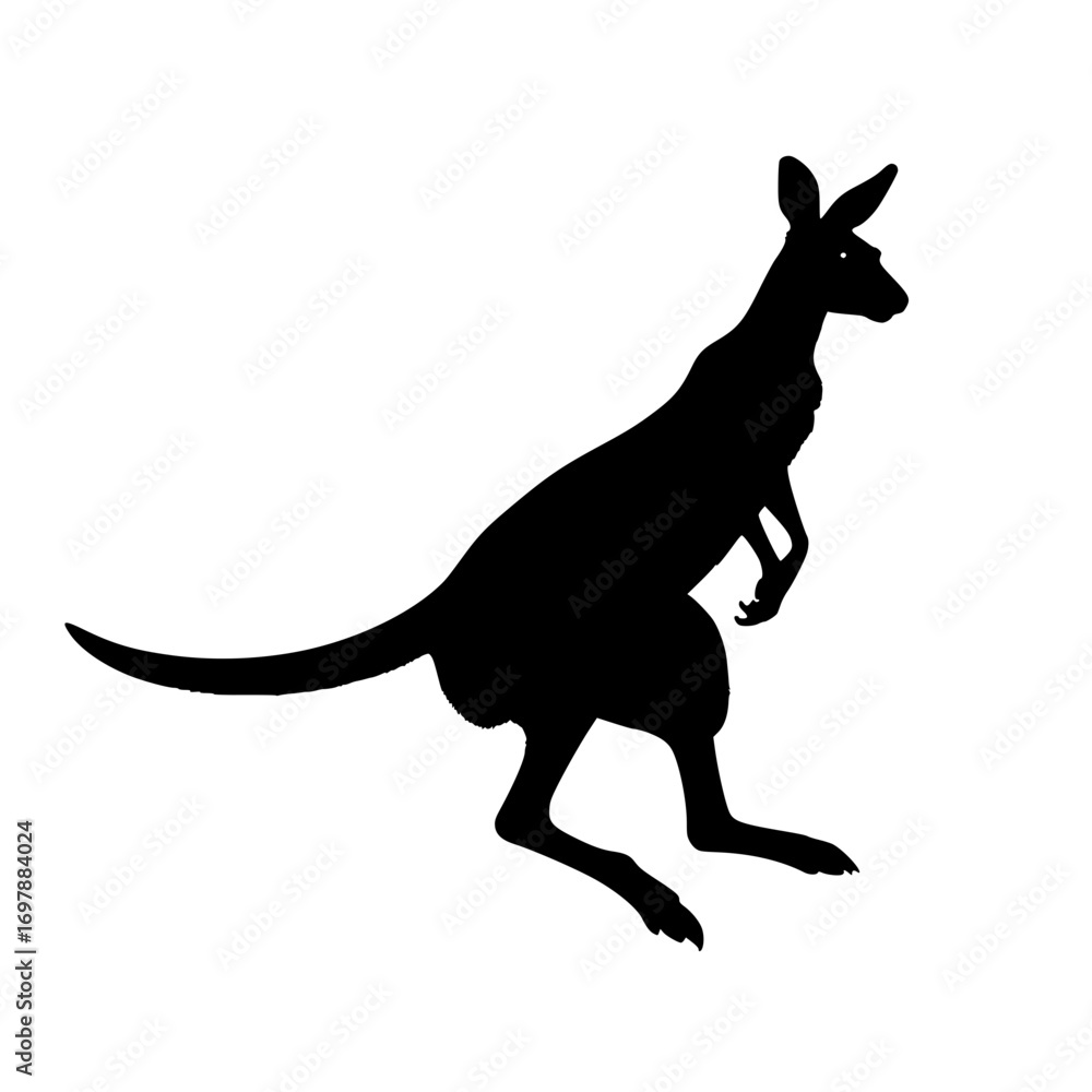 Fototapeta premium kangaroo vector illustration