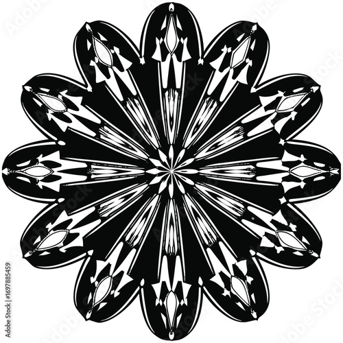 ntricate Petal Formation in Abstract Floral Pattern