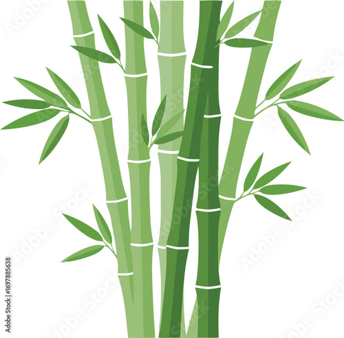 Green Bamboo Stalks with Leaves for Botanical, Asian, Nature, and Eco-Friendly Design Projects