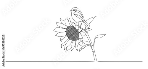 Minimalist continuous line drawing of a small bird perched on a blooming sunflower