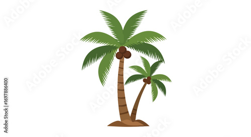 Stylized coconut palms with green fronds and brown coconuts on a white background illustrating a tropical environment
