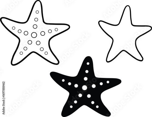 Illustration of Starfish