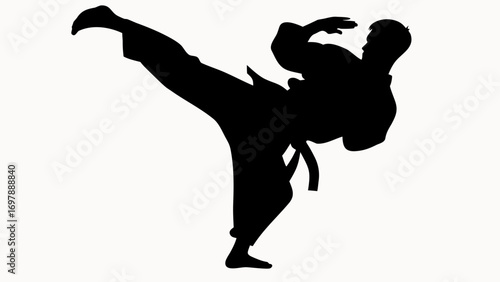 Silhouette of a martial artist performing a high kick with a black belt on a white background image