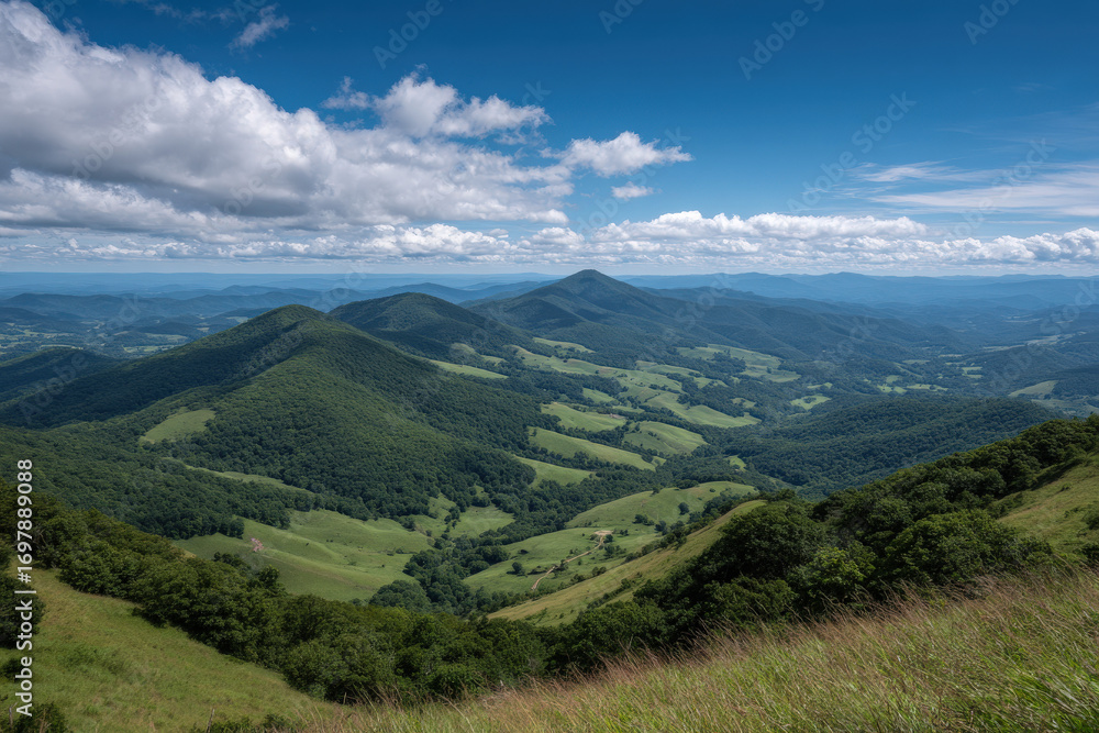 Fototapeta premium experience enchanting summer landscapes of states in usa featuring lush green hills of west virginia