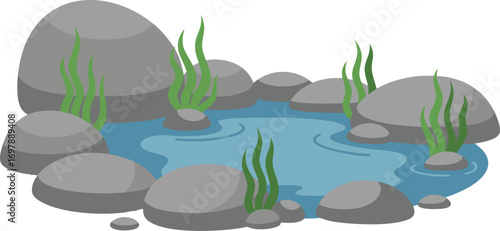 Rocky Pond with Clear Water and Green Aquatic Plants for Nature, Landscape, and Tranquil Outdoor Design Projects