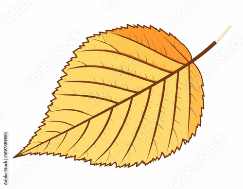 Autumn leaf Detailed drawing Yellow and orange hues Isolated on white Seasonal change high quality professional