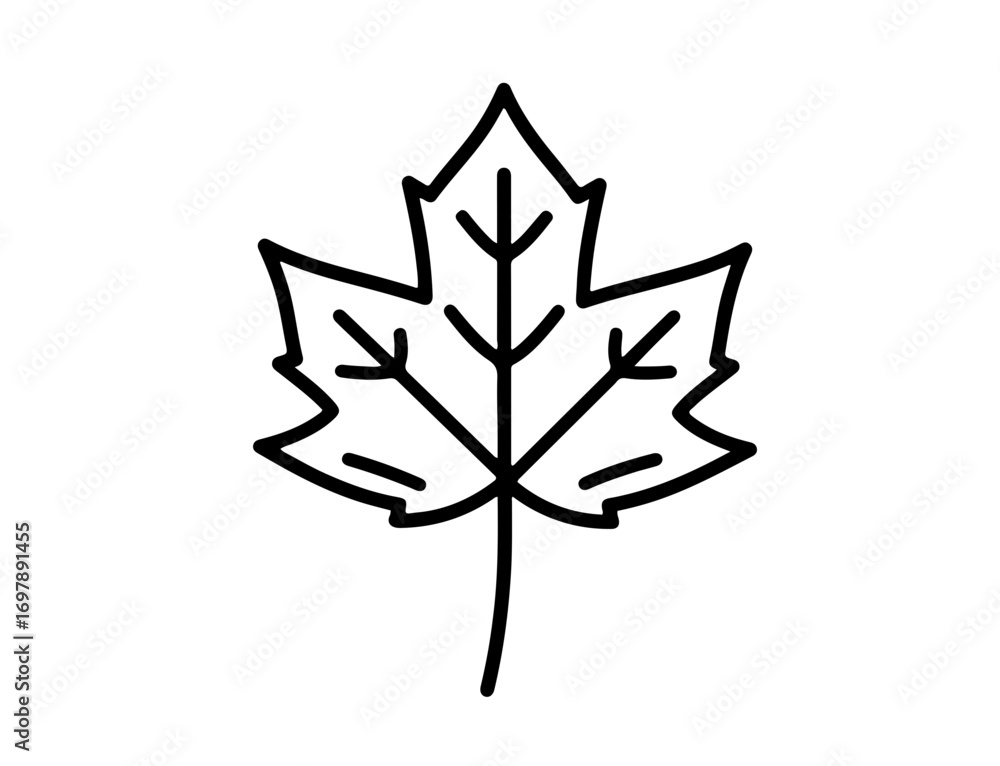 Obraz premium Maple leaf simple line drawing botanical outline autumn symbol nature element high quality professional