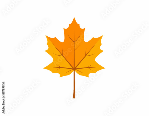 Maple leaf autumn foliage vibrant colors isolated on white simple style seasonal nature high quality professional