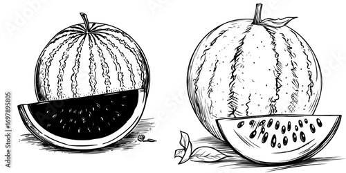 The sketch of a watermelon highlights the modern striped juicy melon and isolated berry fruit as a desirable vegetarian food