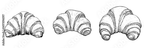 Isolated sketch of a buttery croissant, a type of continental breakfast food, also known as a French crescent roll or bun pastry bread