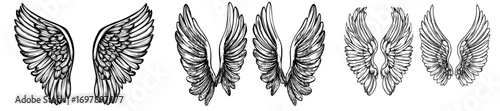 Four pairs of isolated modern decorative wings are set against a white backdrop
