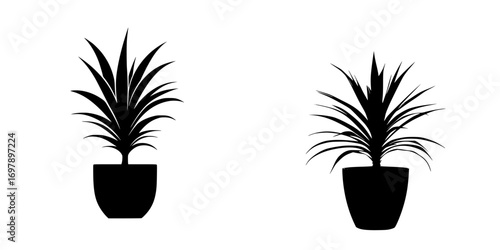 Minimalist black-and-white vector illustration of potted plants showcasing simple silhouettes in a clean design aesthetic