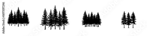 Minimalist black-and-white vector illustration of various pine tree silhouettes in a natural setting at dusk