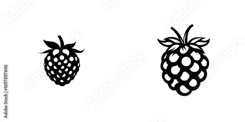 Illustration of two minimalist black-and-white raspberry silhouettes showcasing their distinct shapes and features