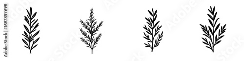 Minimalist black-and-white vector illustration of herbal plant silhouettes for design and decoration