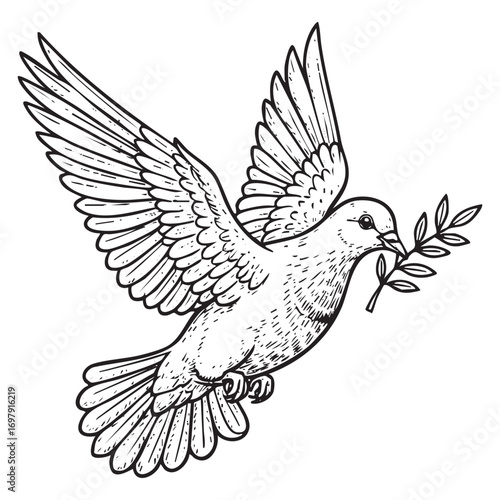 flying dove bird with olive branch