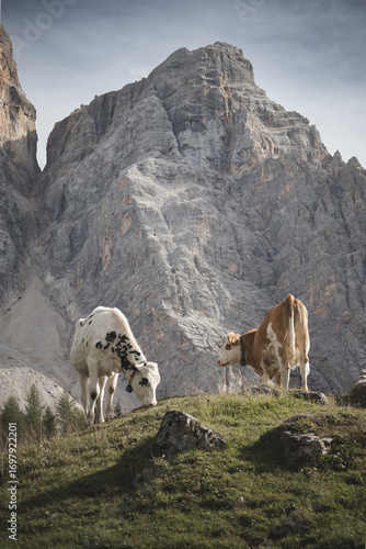 Mountain Hike in Dolomites Italy mountain perfect for climb 