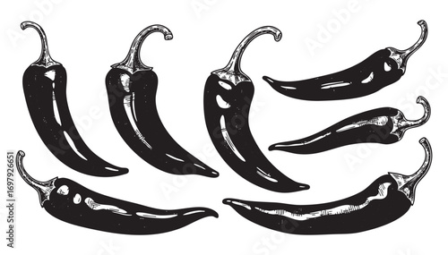 Chili pepper set engraving vector illustration