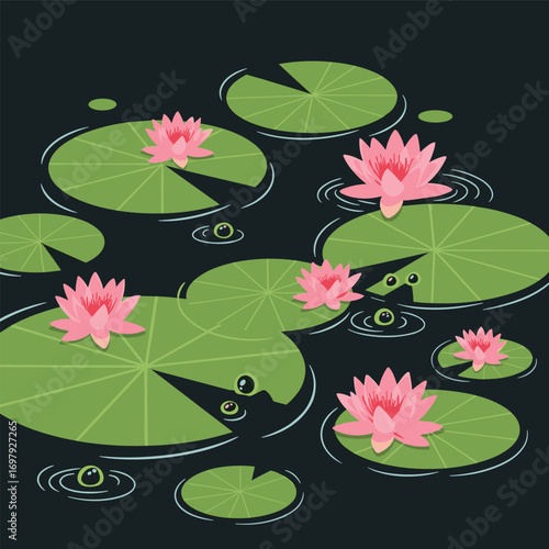 Serene pink water lilies floating gracefully on dark calm pond ripples gentle reflections of nature's beauty