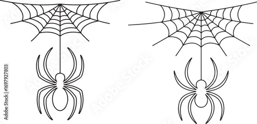 Continuous line art of spider hanging from web minimal Halloween abstract vector illustration