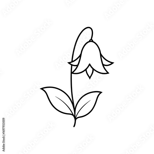 Simple line drawing of a bellflower plant on transparent background