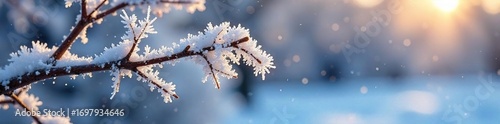 Frozen snowflakes clinging to a branch, ice crystals glistening in the winter sun; a picturesque scene of a snowy, freezing landscape , winter wonderland, january