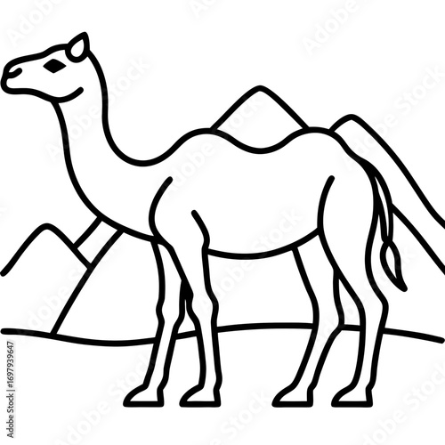 Desert Camel Line Art Vector