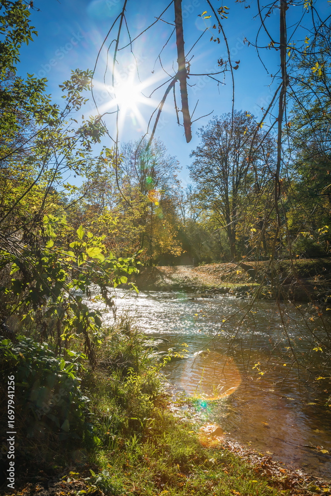 Fototapeta premium A peaceful stream with sunlight glinting off its surface in an autumnal forest