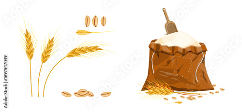Wheat ears with grain and a bag of flour with a scoop. Agricultural harvest and baking ingredient concept.