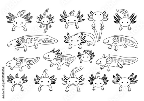 a group of cute cartoon axolotls in various poses and expressions on white background