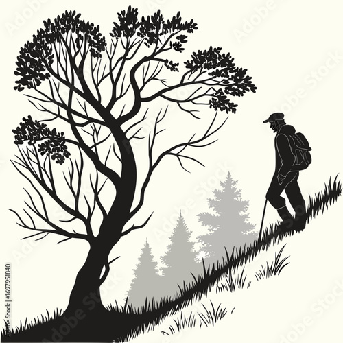 Silhouette of a lone hiker with a backpack and walking stick ascending a grassy hill beside a large tree
