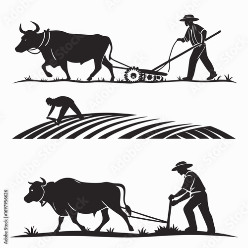 Silhouetted farmer plowing field with ox, planting crops, and working hard traditional agriculture and farming practices with animals in rural areas