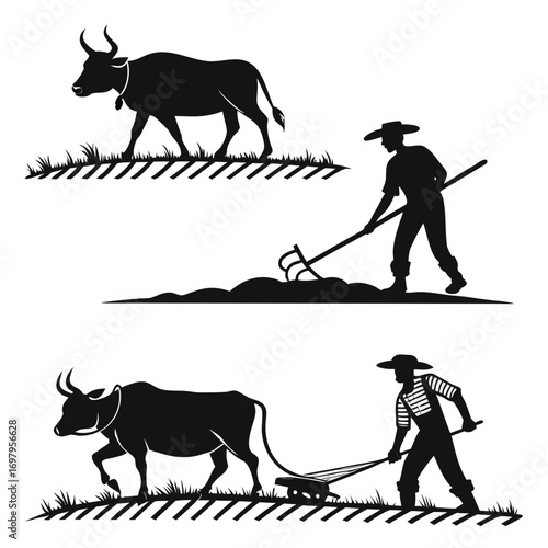 Silhouetted farmer plowing field with ox, planting crops, and working hard traditional agriculture and farming practices with animals in rural areas