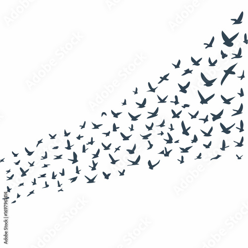 A vector illustration of a large flock of black bird silhouettes flying in a dynamic formation