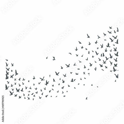 A graceful flock of small dark birds in flight, a minimalist vector silhouette design