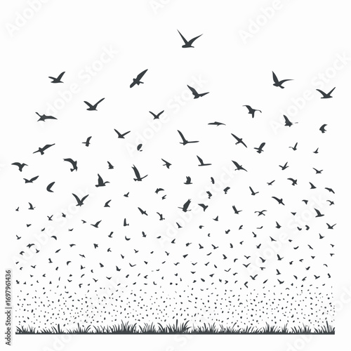 Dynamic silhouettes of numerous birds taking flight from a grassy meadow, symbolizing freedom and natural migration