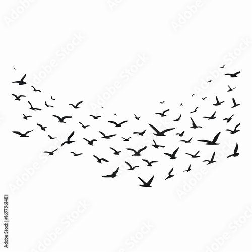 Silhouette of Birds in Flight A Flock of Black Birds Soaring