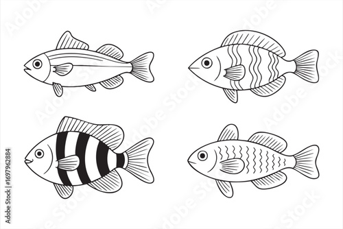 Marine fish collection vector illustrations isolated on white background