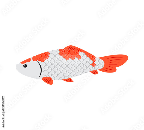 Koi fish vector illustration