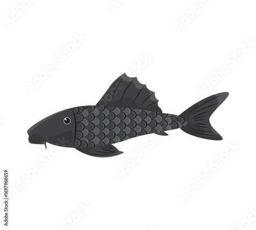 Suckerfish vector illustration