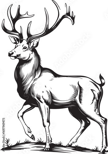Black deer head illustrations