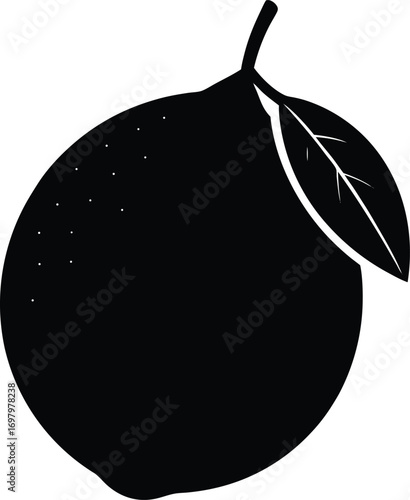 Lemon glyph and line vector illustration