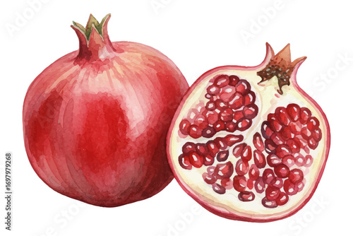 Two ripe pomegranates - whole and a half - vector illustration in watercolor style.  Freshness delicious pomegranate fruit isolated on white background, related to healthy eating, autumn harvests.